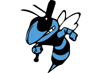 Central Iowa Stingers - 12U